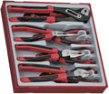 Teng Tools 8 Piece Plier Set Tool Tray (Side Cutters, Linesman, Long Nose, Water Pump) - TTD441-T