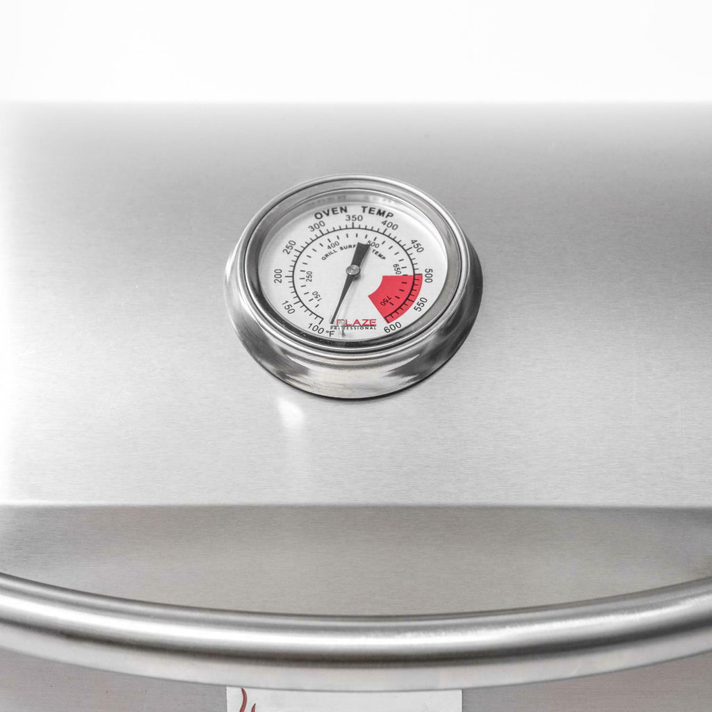 Professional Portable Grill, Propane