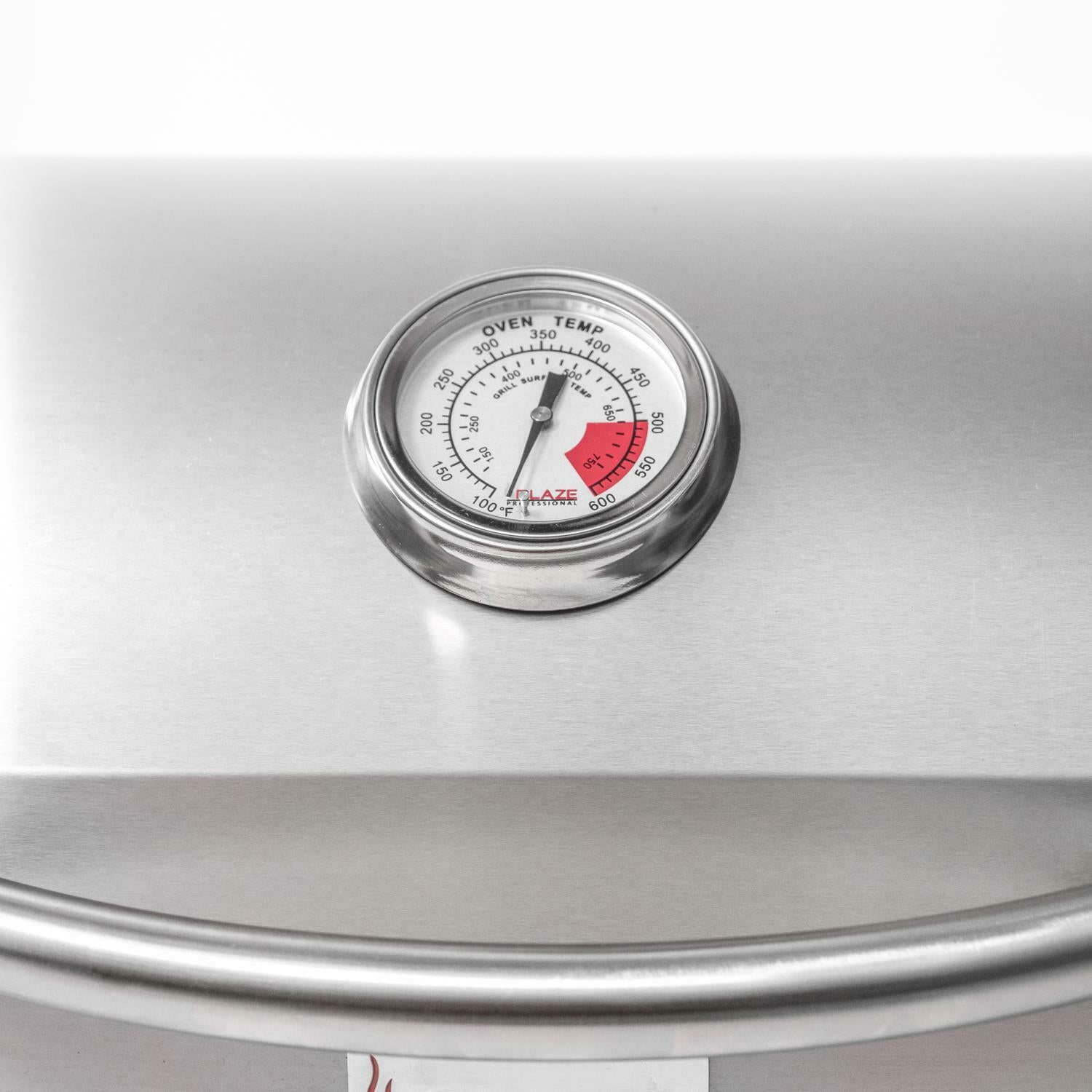 Professional Portable Grill, Propane