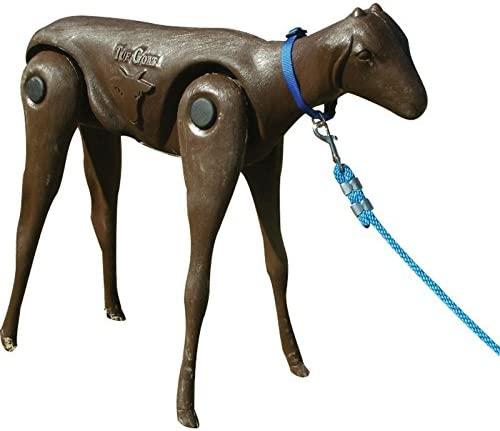 NRS ss-Goat tuf Goat