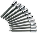 SK Hand Tools 84220 10-Piece 1/4-Inch and 3/8-Inch Drive Long Torx Bit Socket Set