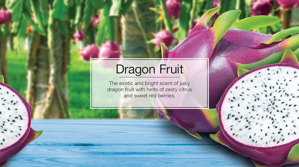LITTLE TREES Air Fresheners Car Air Freshener. Hanging Tree Provides Long Lasting Scent for Auto or Home. Dragon Fruit, 24 Air Fresheners