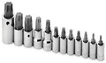 SK Hand Tools 84232 12-Piece Torx Plus Bit Socket Set