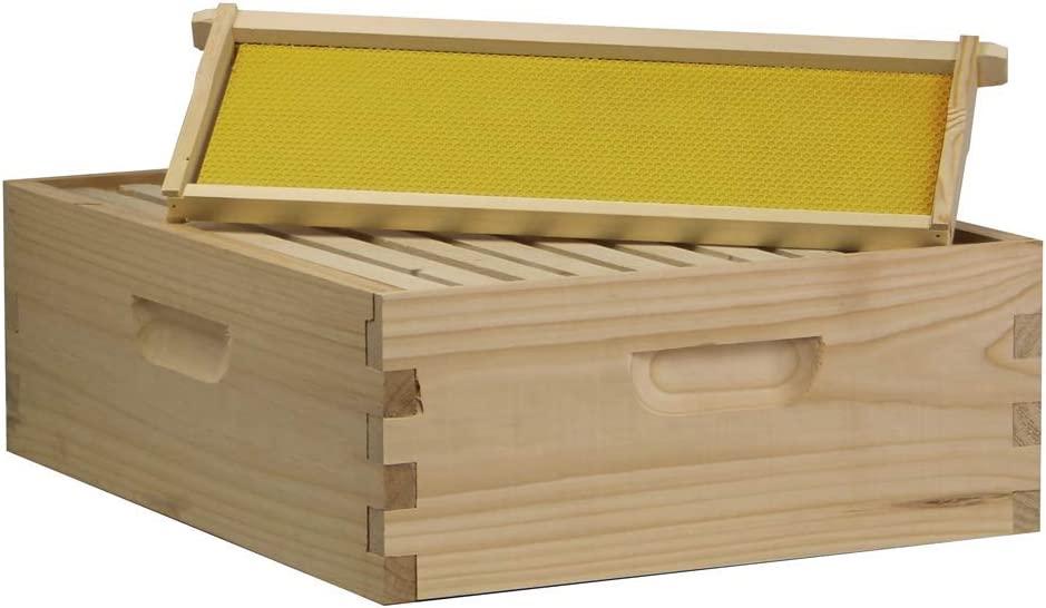Amish Made in USA Complete Langstroth Bee Hive Includes Frames and Foundations (2 Deep, 1 Medium)