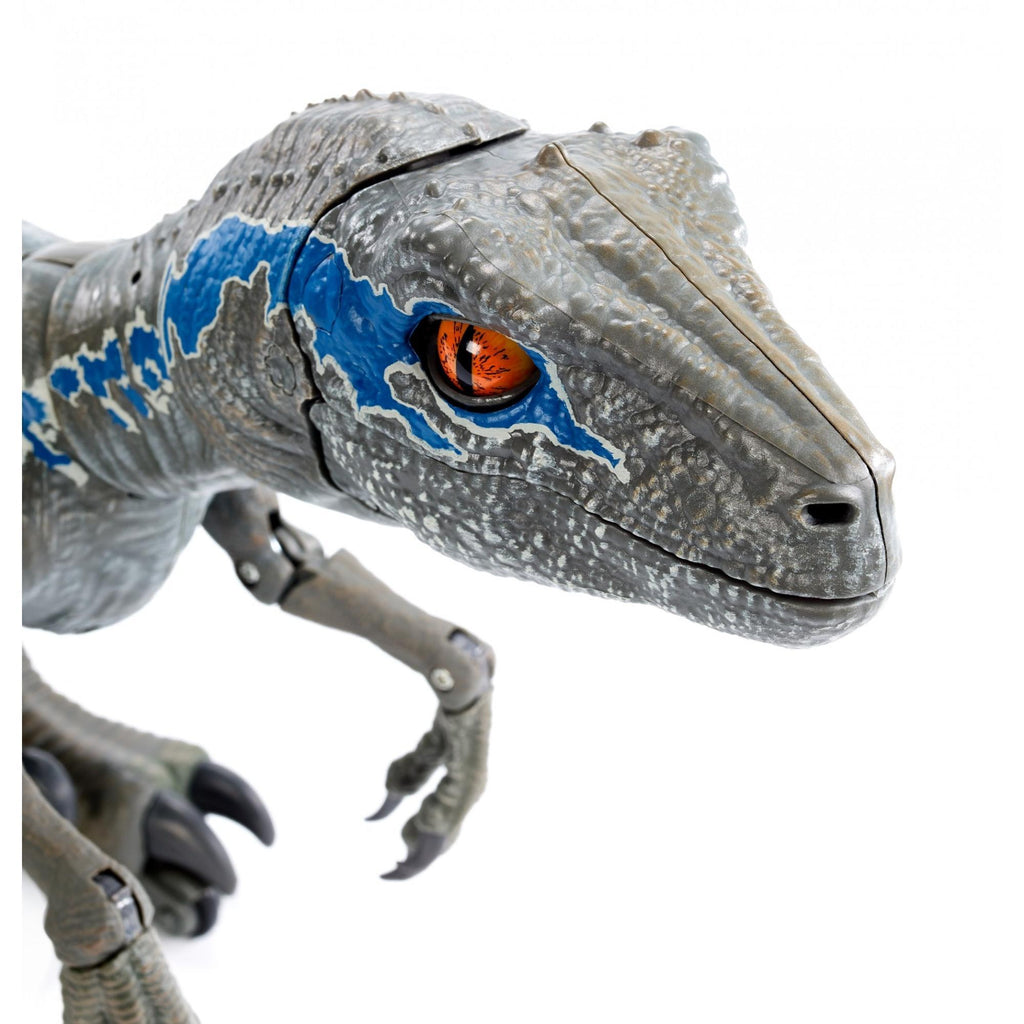 Jurassic World Alpha Training Blue