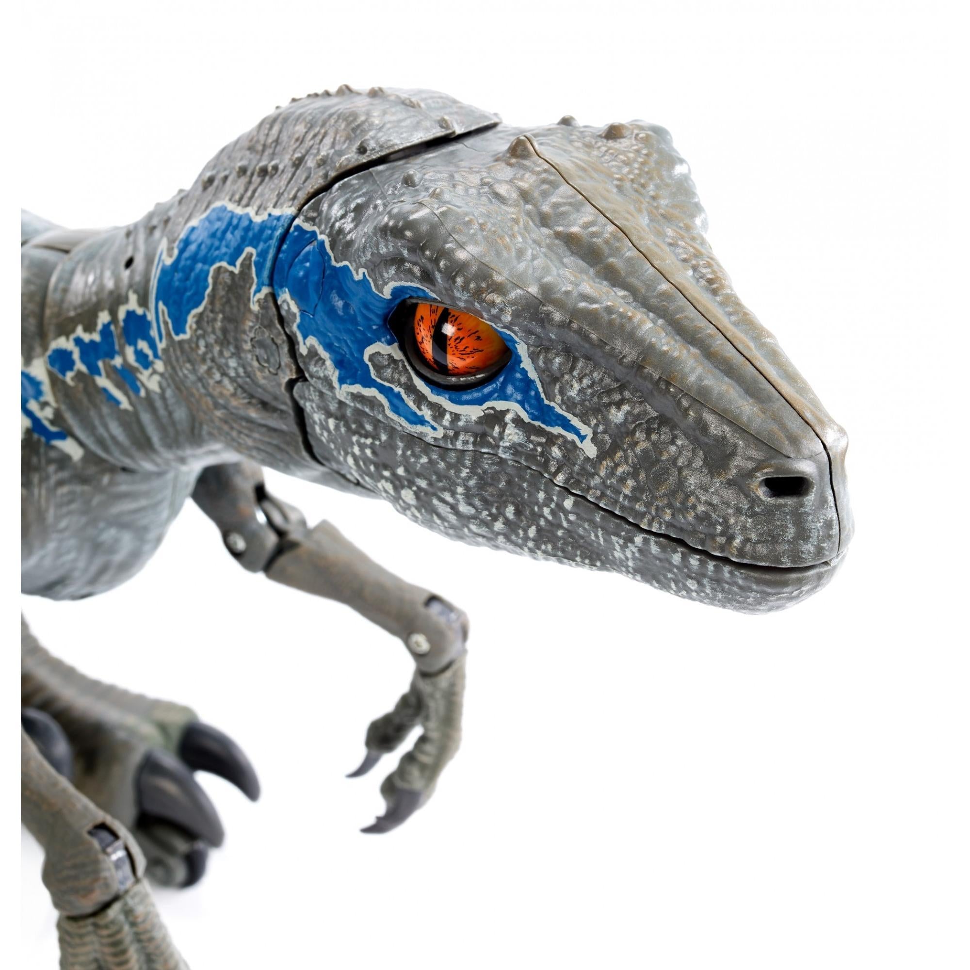 Jurassic World Alpha Training Blue
