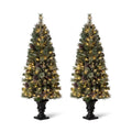 5 ft. Pre-Lit Flocked Pine Artificial Christmas Tree with 130 Warm White Lights (Set of 2)