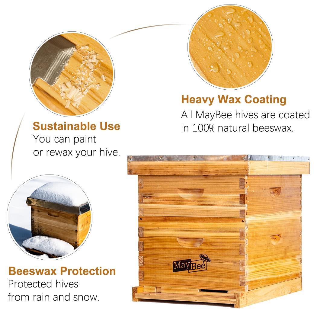 Bee Hive 10 Frame Bee Hives and Supplies Starter Kit, Bee Hive for Beginner, Honey Bee Hives Includes 1 Deep Bee Boxes, 1 Bee Hive Super with Beehive Frames and Foundation