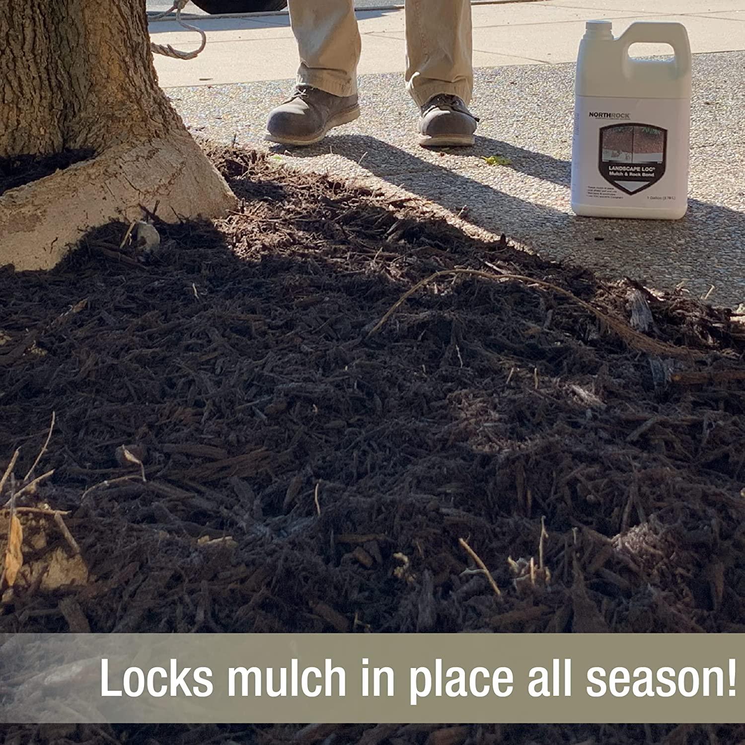 Landscape Loc Mulch & Rock Bond (5 Gallon, 1) - Landscape Glue for Mulch, Rock, & More