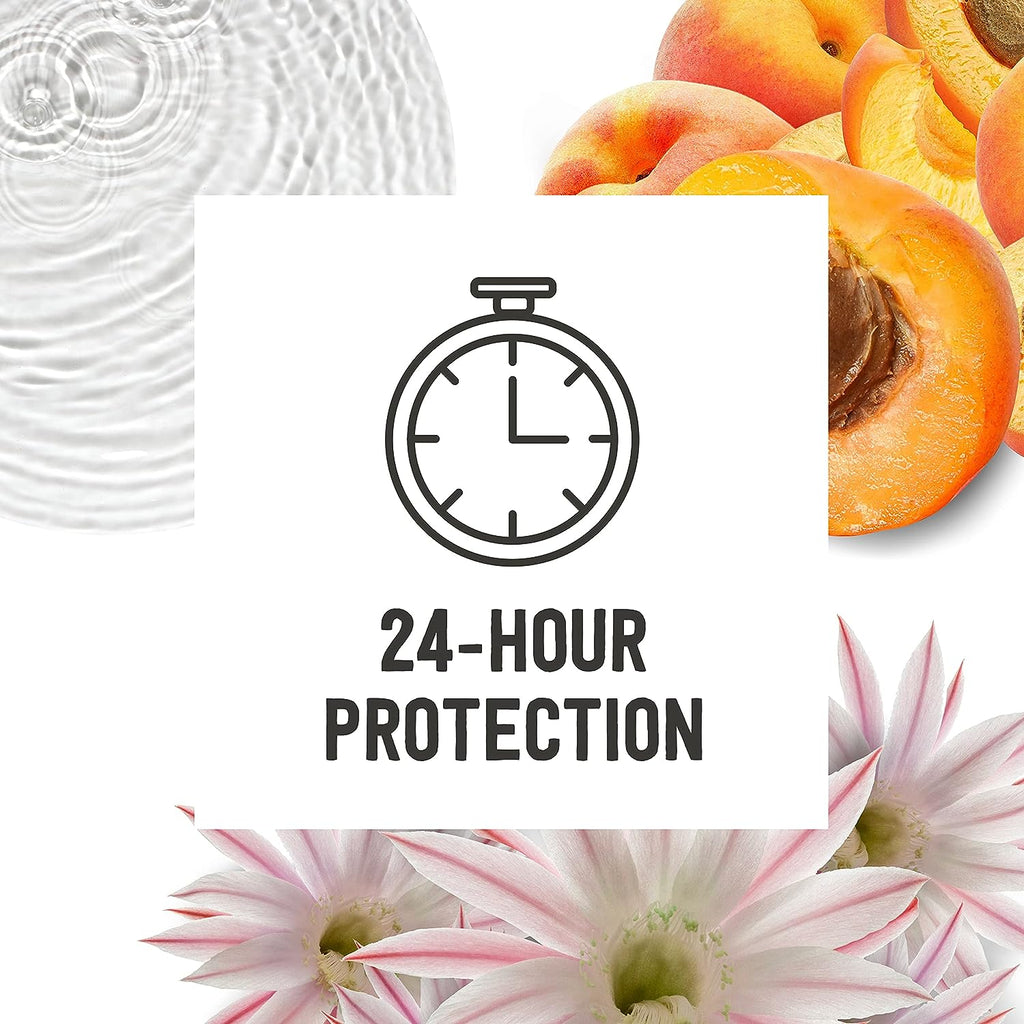 Schmidt's 100% Natural Origin Ingredient Deodorant Stick Cactus Flower &amp; Pear 2 Count for 24-Hour Odor Protection 2.65 oz