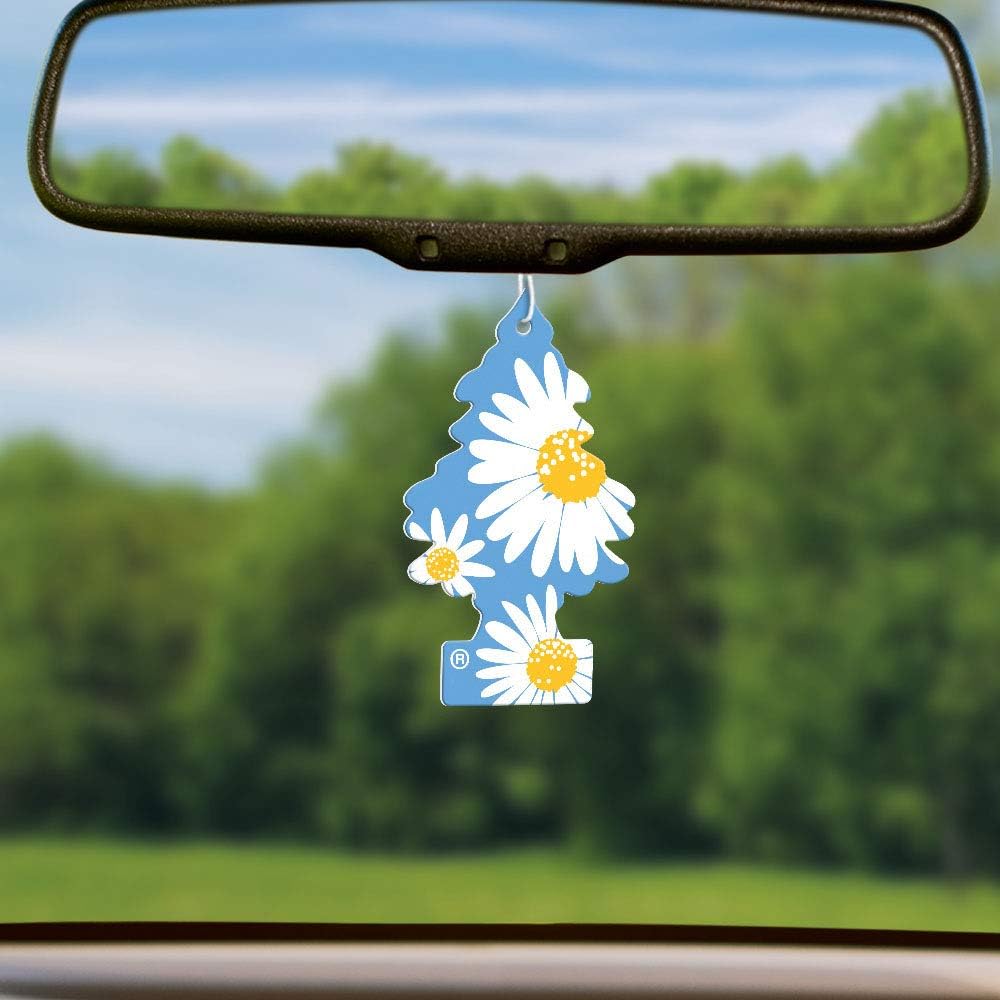 LITTLE TREES Air Fresheners Car Air Freshener. Hanging Tree Provides Long Lasting Scent for Auto or Home. Daisy Fields, 24 Air Fresheners