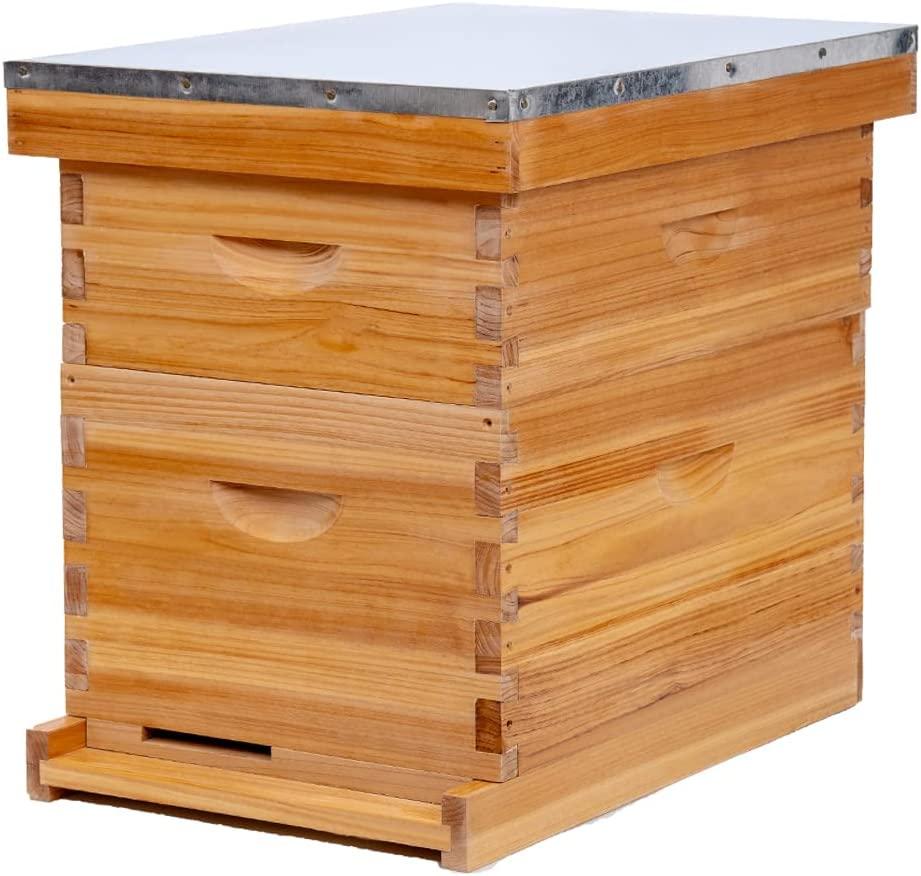 Honey Lake 8-Frame Bee Hive 1 Brood Beehive Box and 1 Medium Bee Hive Super Box,Bee Hives and Supplies Starter Kit Include Beehive Frames and Foundation Sheet