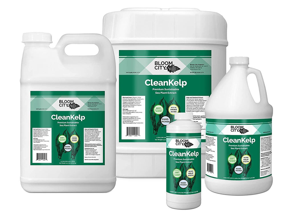 Organic Liquid Seaweed and Kelp Fertilizer Supplement by Bloom City, 5 Gallon (640 oz) Concentrated Makes 3750 Gallons