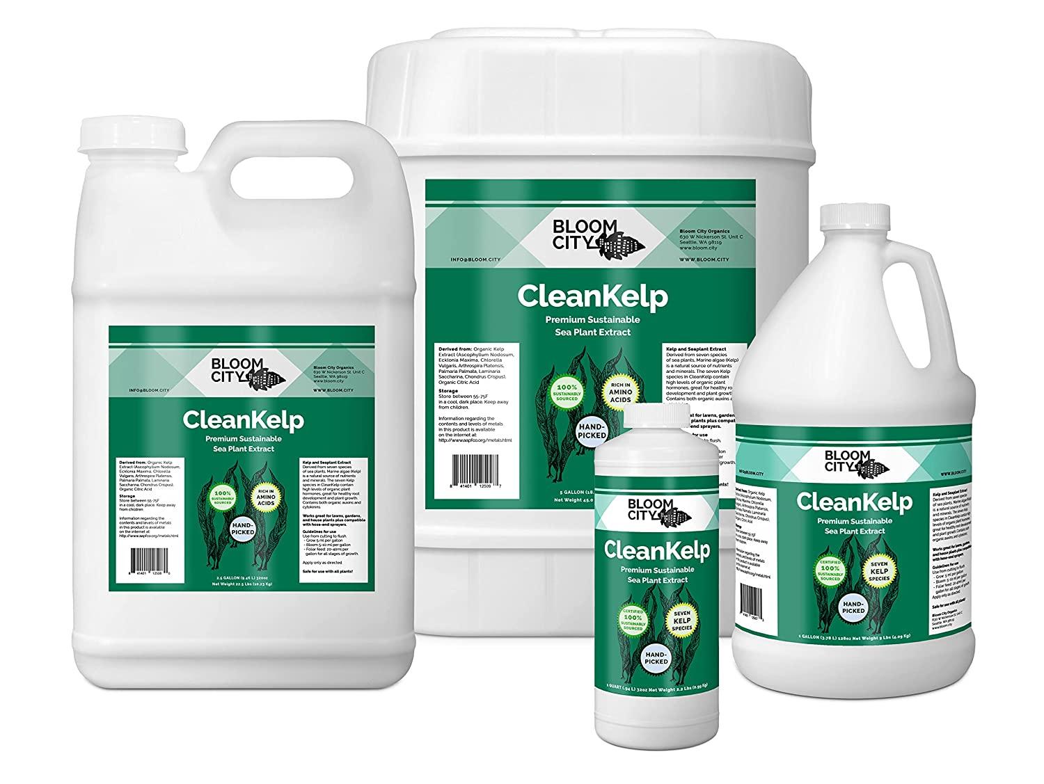 Organic Liquid Seaweed and Kelp Fertilizer Supplement by Bloom City, 5 Gallon (640 oz) Concentrated Makes 3750 Gallons