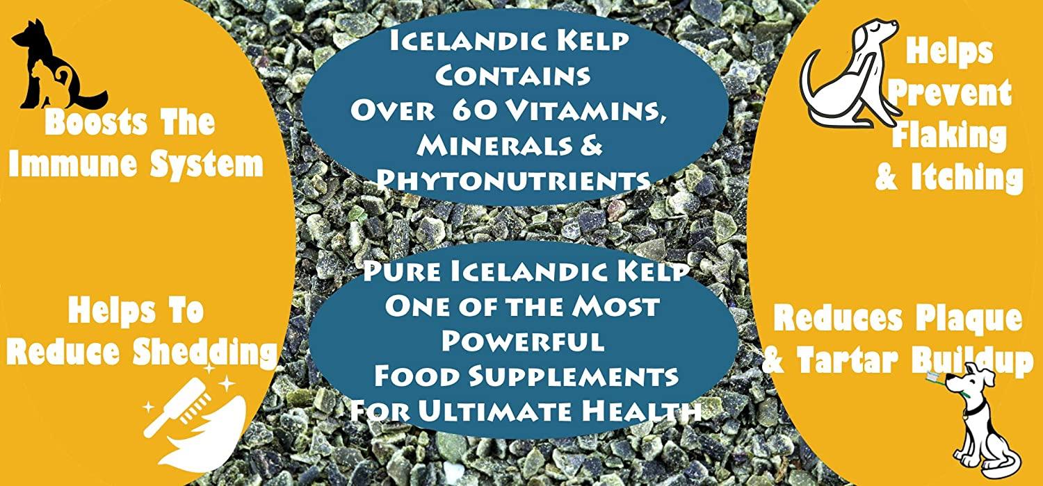 Thorvin Organic Icelandic Kelp Meal - Loaded with Nutrients That Support Your Livestock Or Pet & A Natural Seaweed Fertilizer for Plants, 50lbs.
