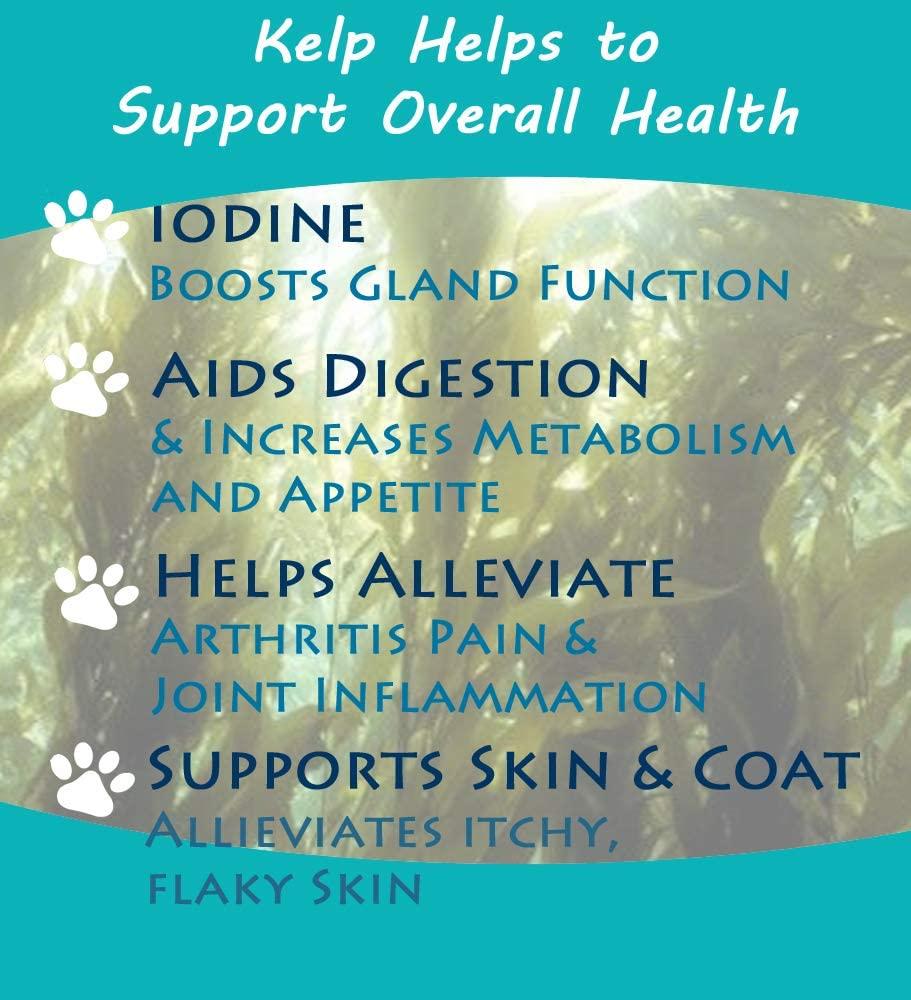 Thorvin Organic Icelandic Kelp Meal - Loaded with Nutrients That Support Your Livestock Or Pet & A Natural Seaweed Fertilizer for Plants, 50lbs.