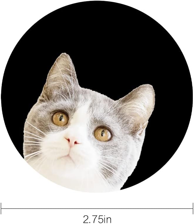 Cute Cat Funny Cat Car Coasters, 2PCS 2.75" Car Cup Holder Coasters Silicone Car Cup Holder Insert Coasters for Women Car Interior Accessory by FLYEEGO