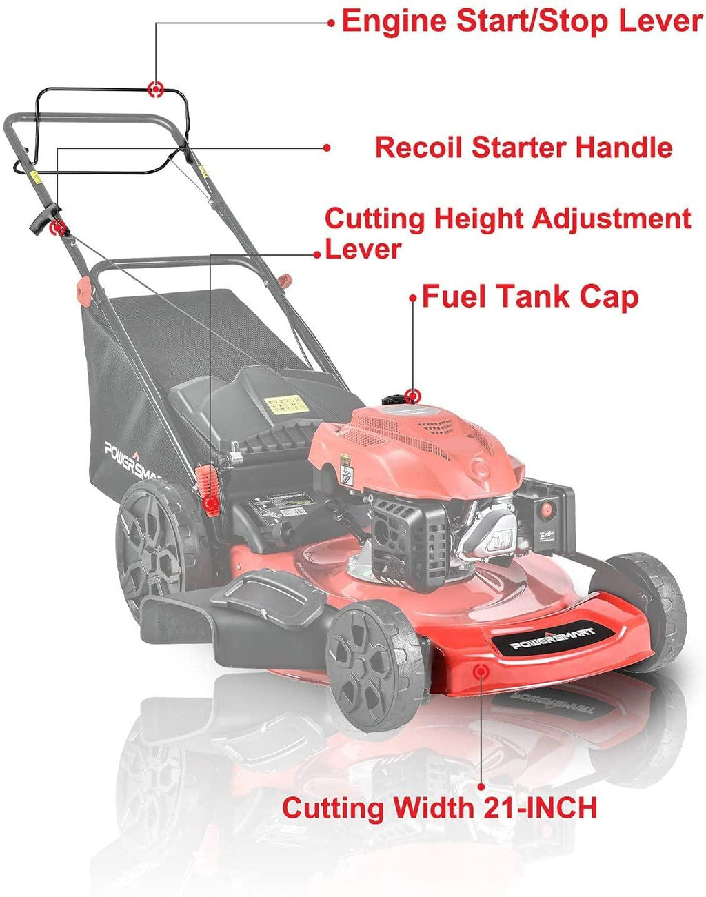 PowerSmart Lawn Mower, 22-inch & 200CC, Gas Powered Self-Propelled Lawn Mower with 4-Stroke Engine, 3-in-1 Gas Mower in Color Red/Black, 5 Adjustable Heights (1.18''-3.02'' ), DB9422SR