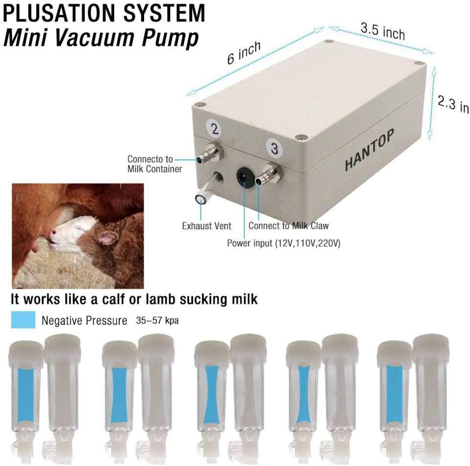 Hantop 3L Goat MilMachine,Portable Pulsation Vacuum Pump Goat Milker Livstock MilMachine (Basic Model)