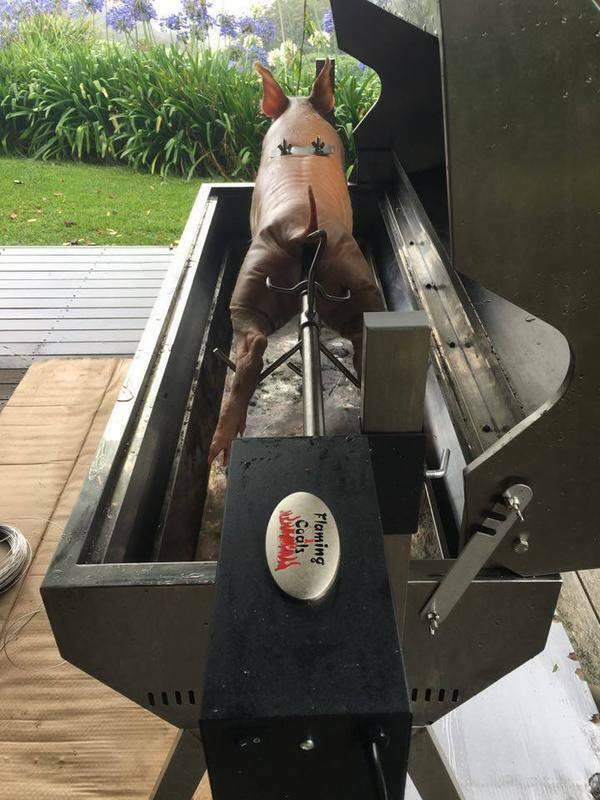Spit Roaster Rotisserie Motor- 200lb capacity (110V for USA/Canada)