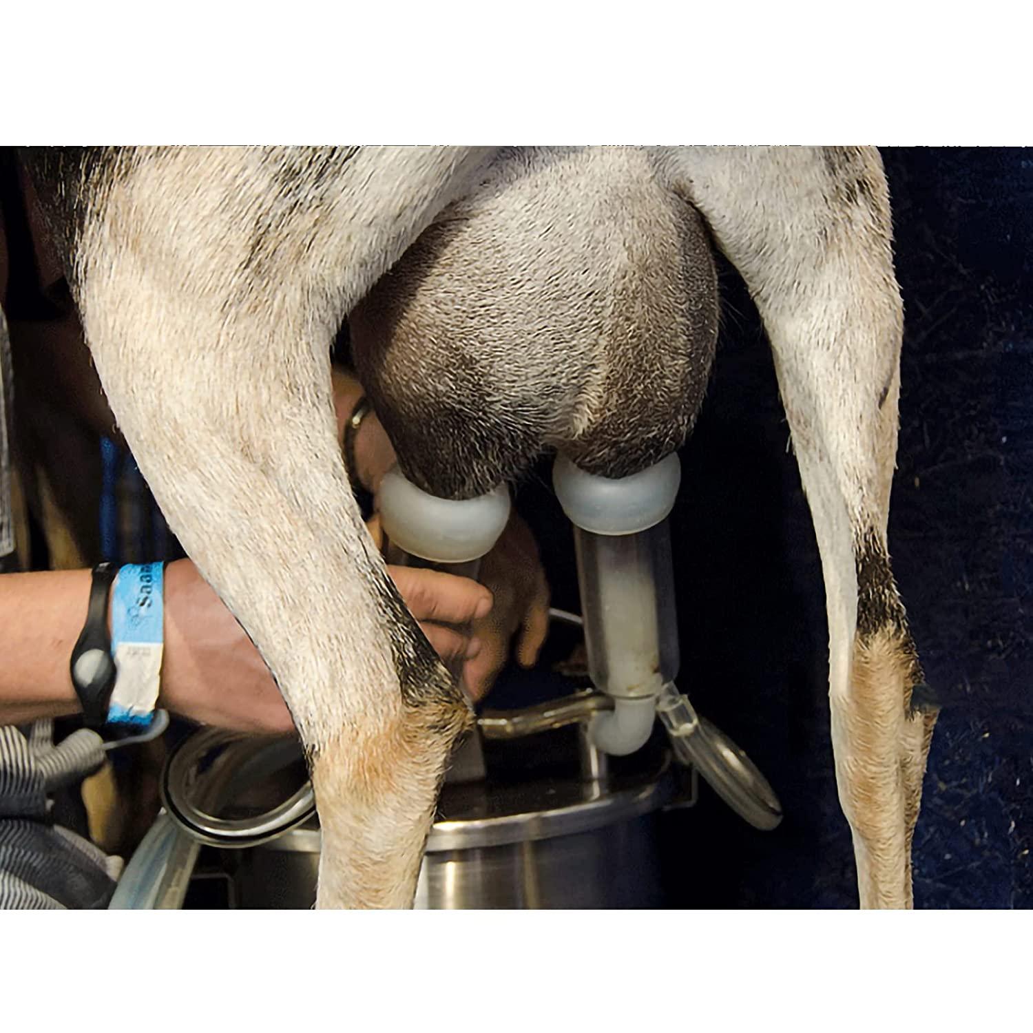 Olyfanco 7L Goat MilMachine, Pulse/Direct Suction 2 in 1 Model, Suction Adjustable and Milk Bucket Full Self-Stop System to Preventing Overflow -2023 Newest Model
